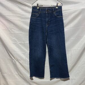 Biden Denim Wide Leg Jeans
